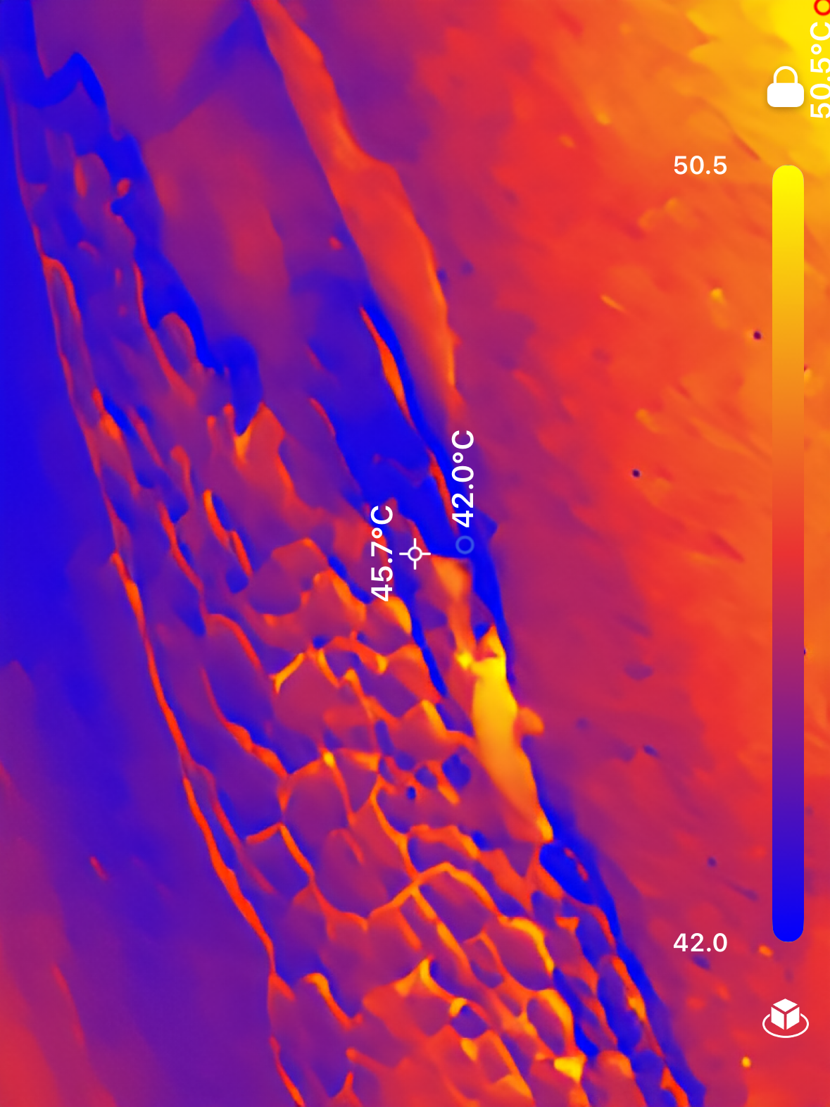 Thermal Image 4